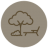 CasaDamiano_IconaParco